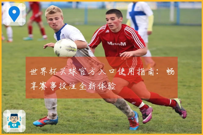 世界杯买球官方入口使用指南：畅享赛事投注全新体验