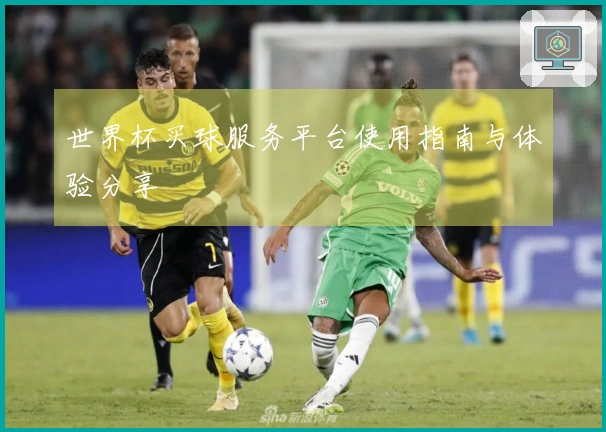 世界杯买球服务平台使用指南与体验分享