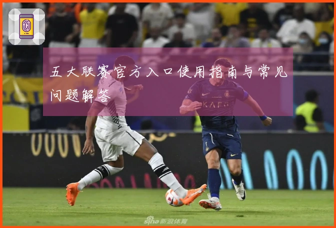 五大联赛官方入口使用指南与常见问题解答