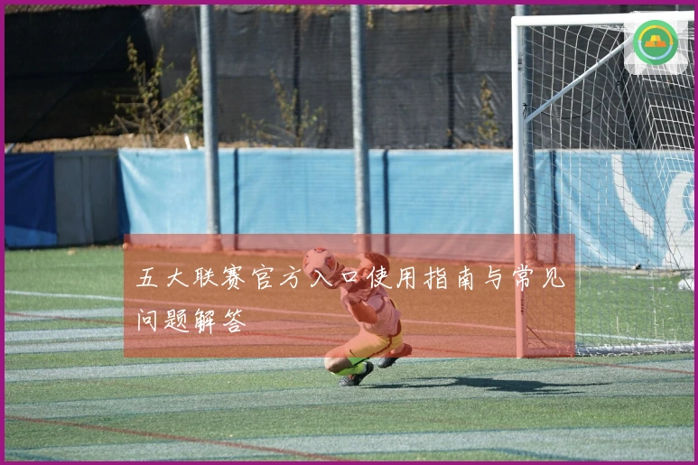 五大联赛官方入口使用指南与常见问题解答