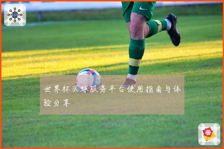 世界杯买球服务平台使用指南与体验分享
