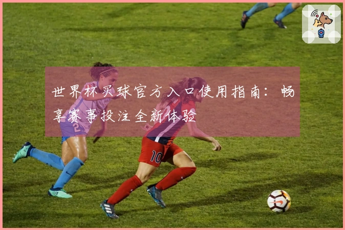 世界杯买球官方入口使用指南：畅享赛事投注全新体验