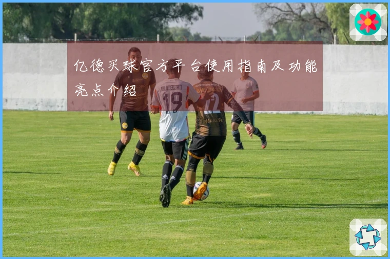 亿德买球官方平台使用指南及功能亮点介绍