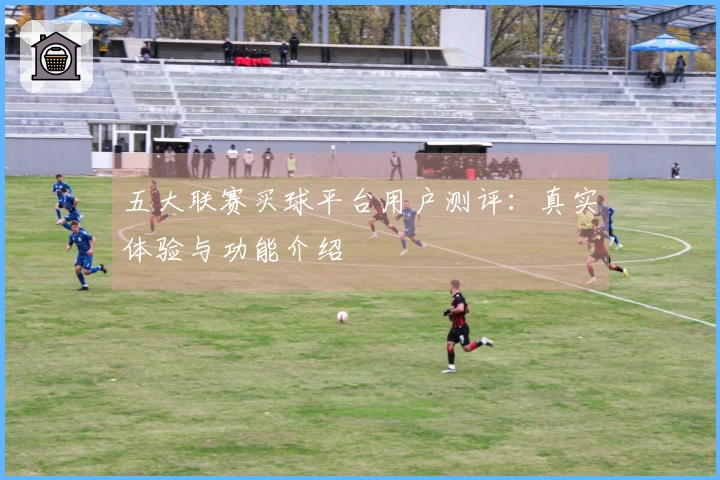 五大联赛买球平台用户测评：真实体验与功能介绍